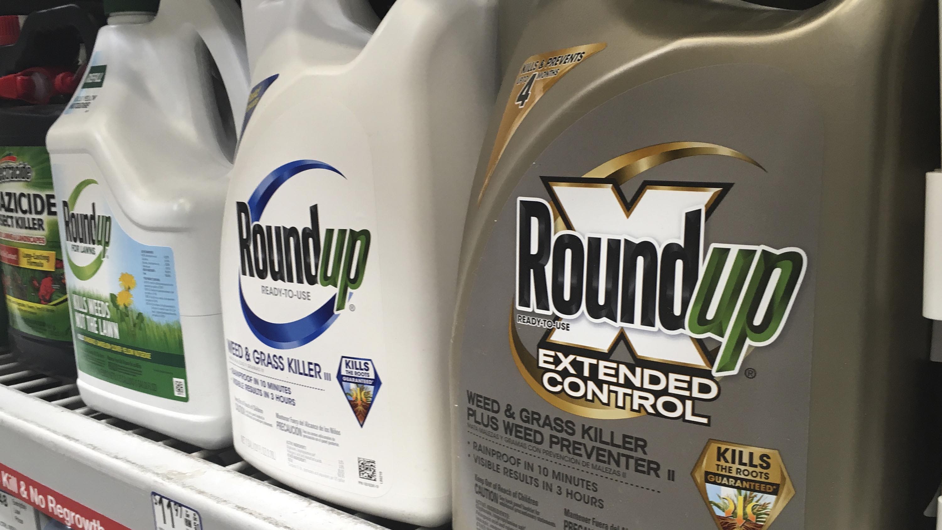 Roundup